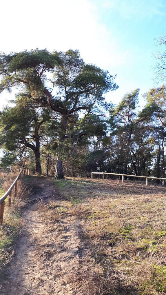 230122_Wanderung1.jpg