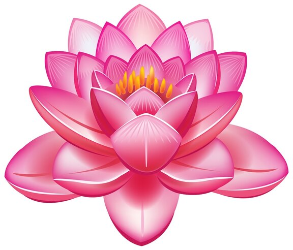 260819_PME_lotusflower.jpeg