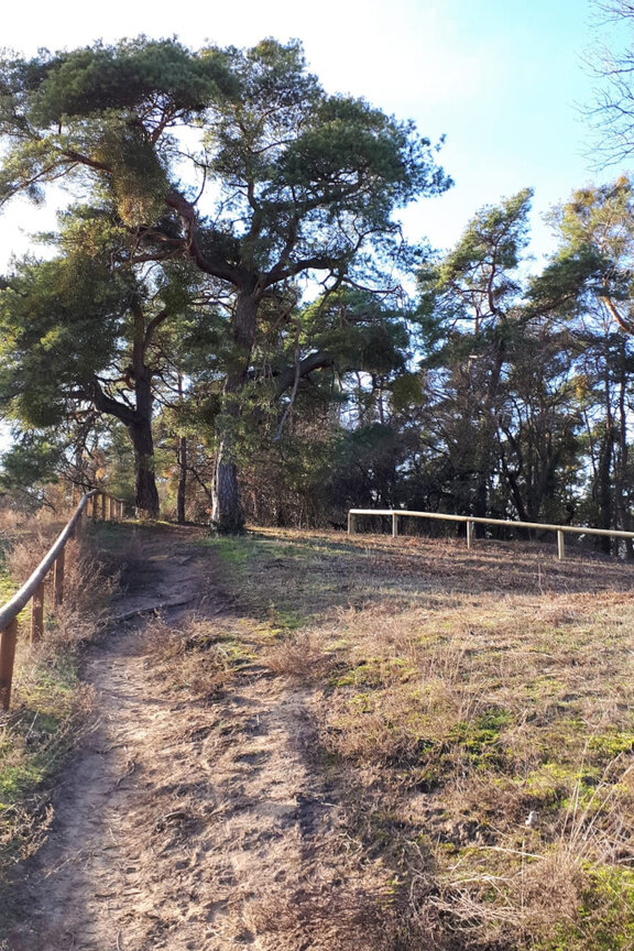 240703_Ulvenberg.jpg 