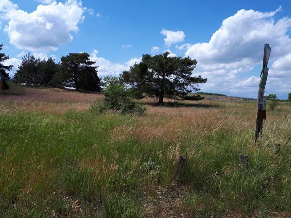 Ansicht von Landschaft im Kühler Grund